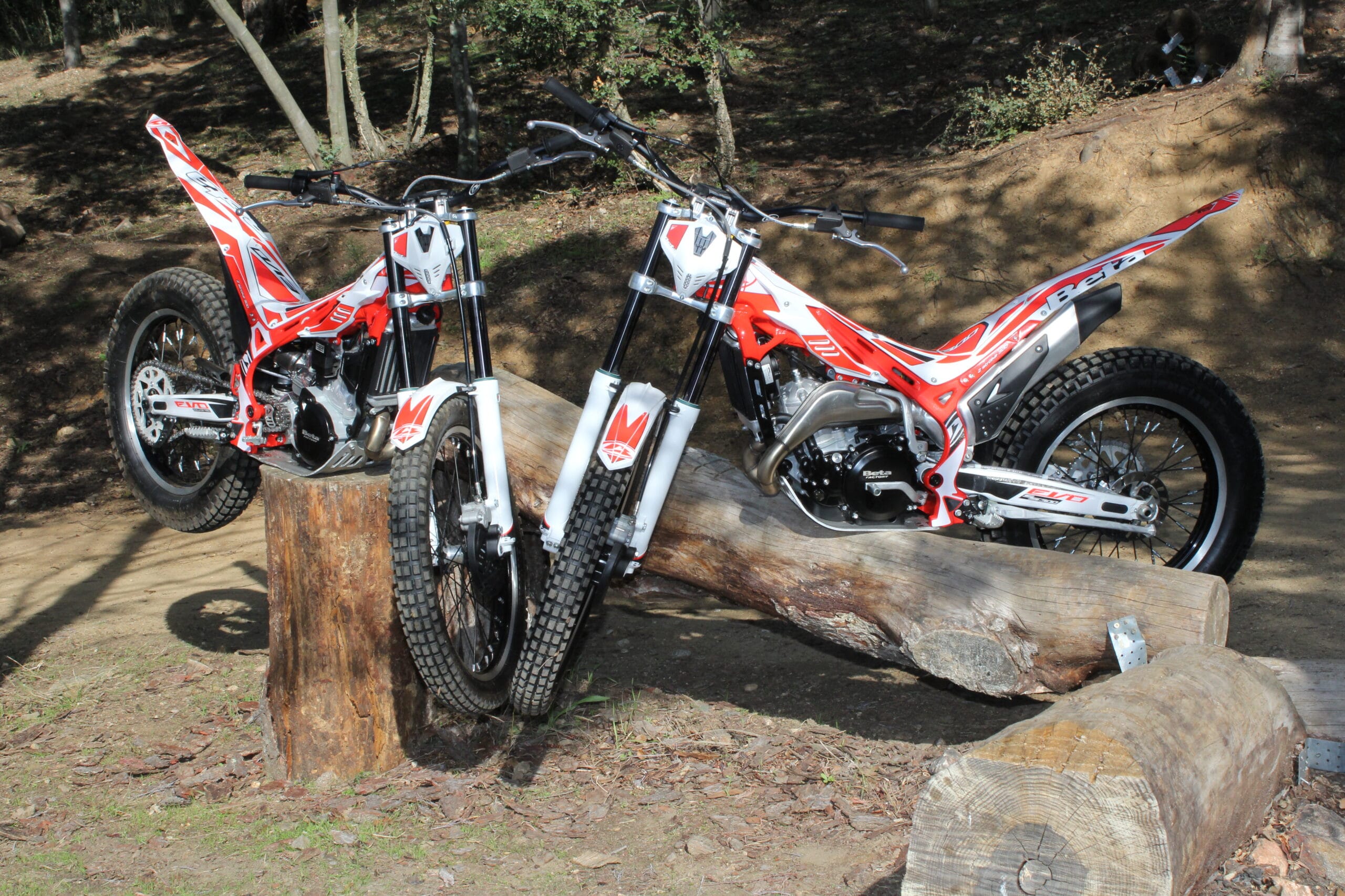Face à face Beta Evo 300 Std & 300 SS