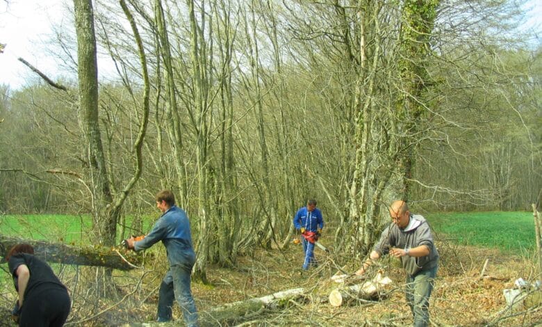 Journées des chemins